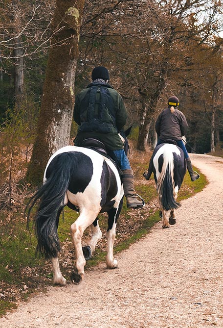 Horse Riding in Lefkakia